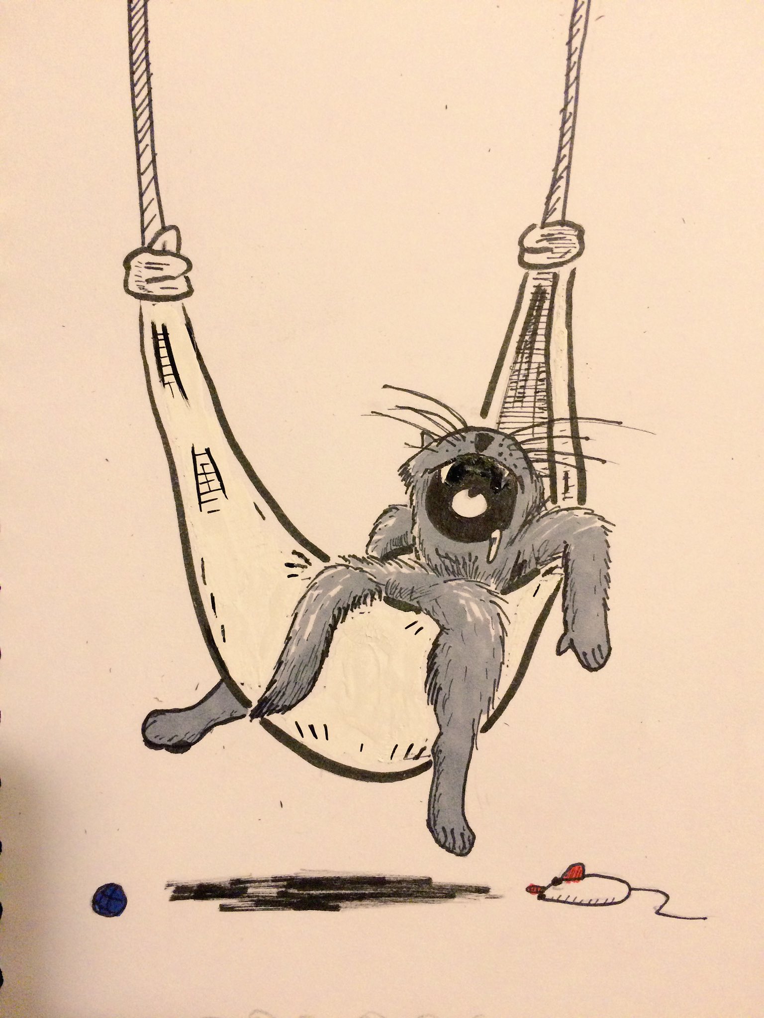 INK_cat_hammock